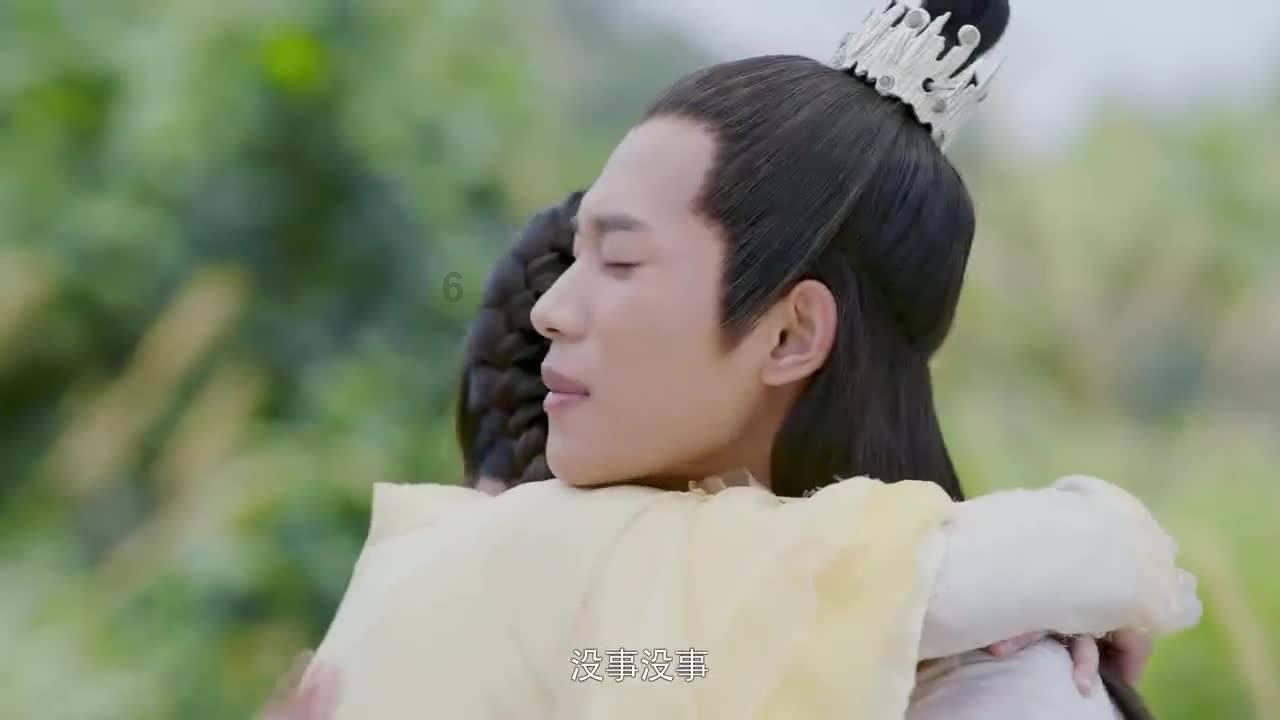 狗狗物品记忆卡